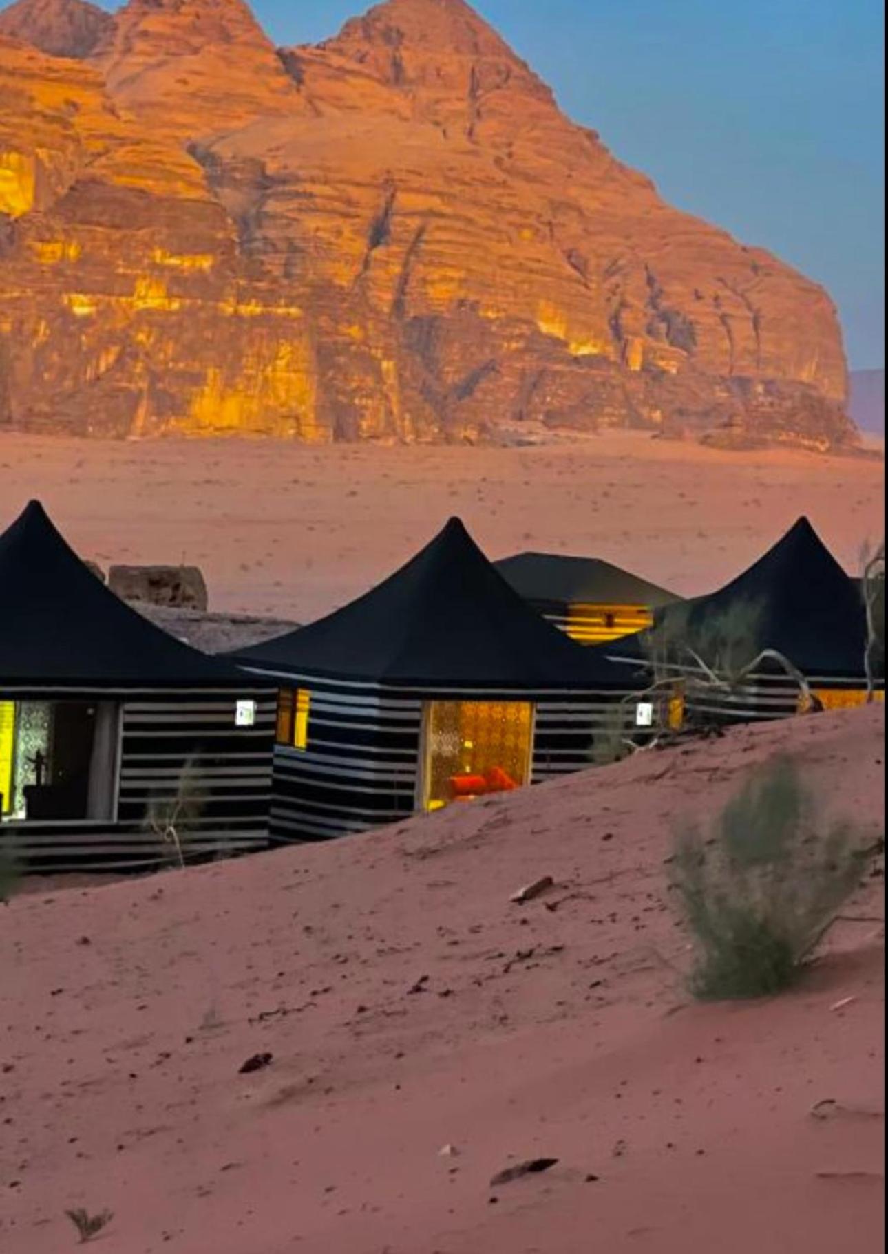 Rum Flower Bubbles Luxury Camp Wadi Rum Extérieur photo